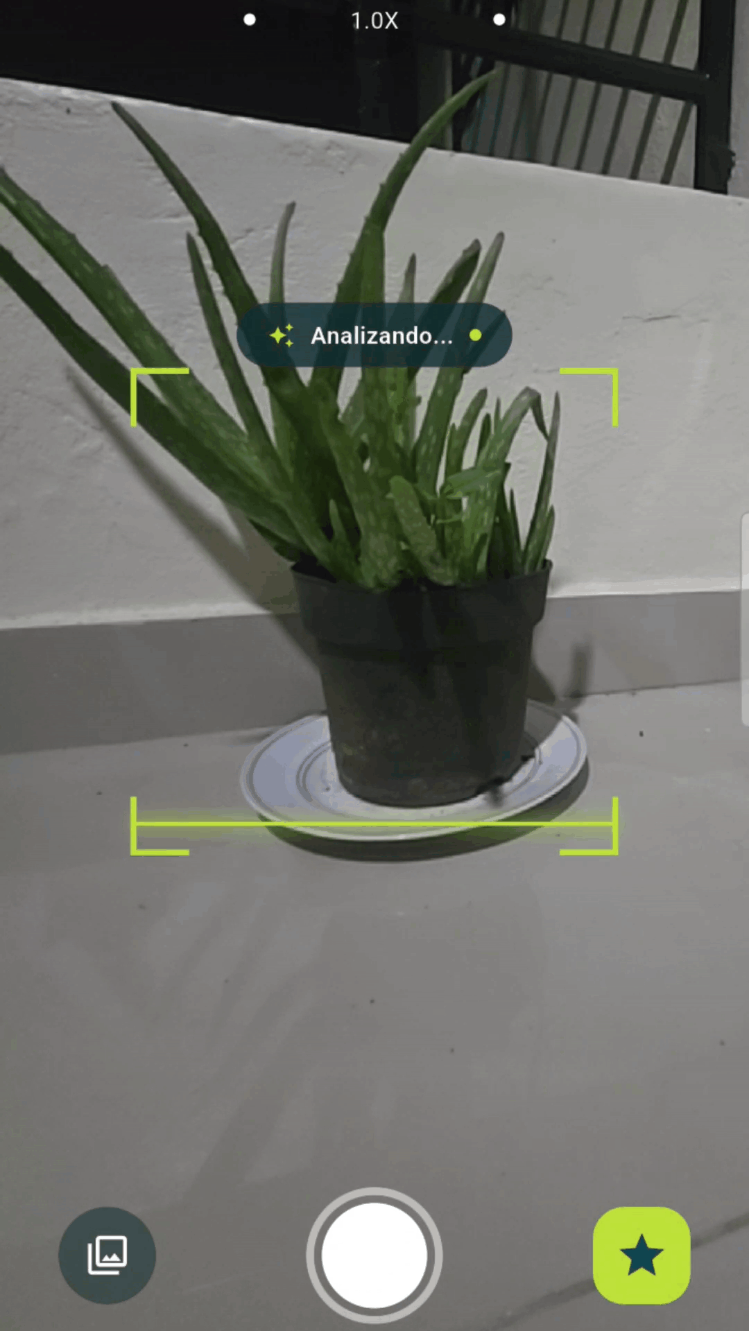 Clip del escáner de plantas de ECO2